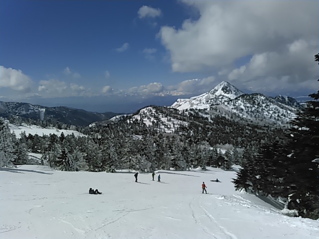 c0359615_21331068.jpg