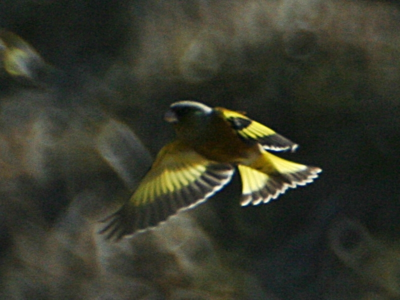 d0181824_14584728.jpg