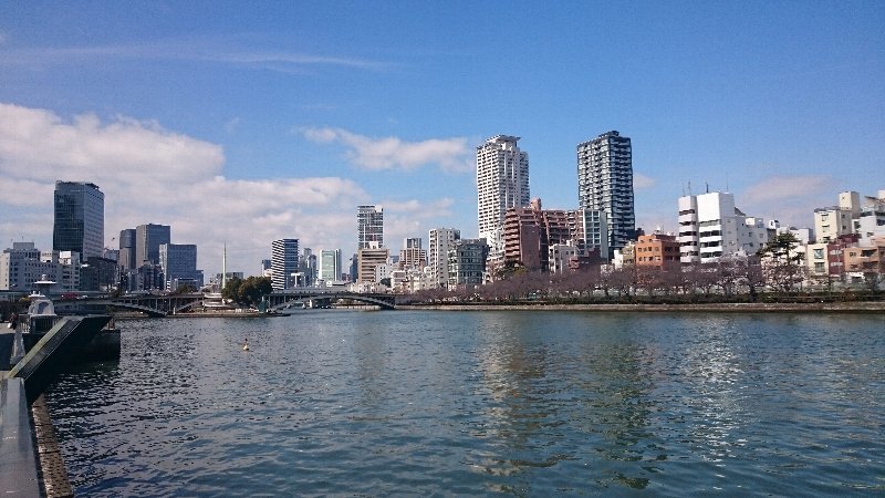 c0355331_15355911.jpg