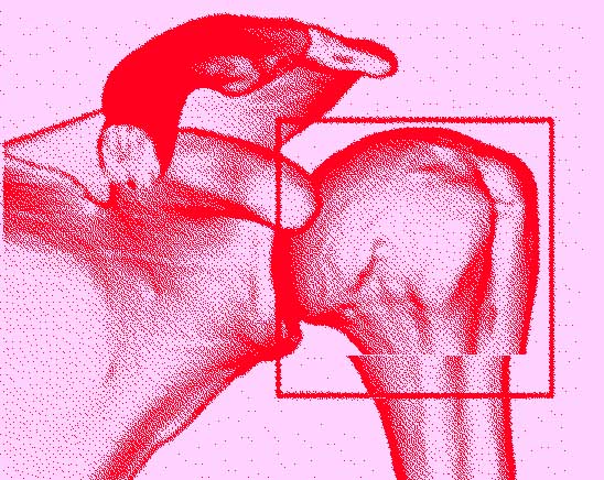 c0184737_16511454.jpg