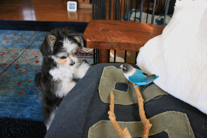 c0145250_09182622.gif