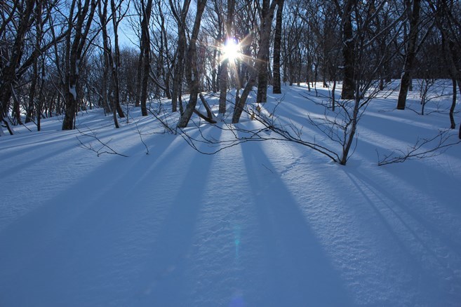 e0239458_22134102.jpg