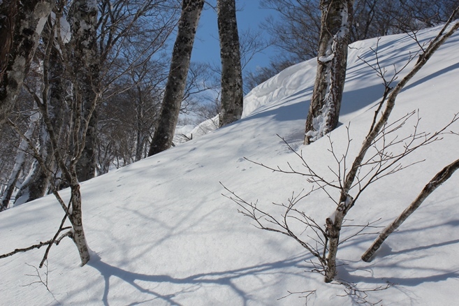 e0239458_22232971.jpg