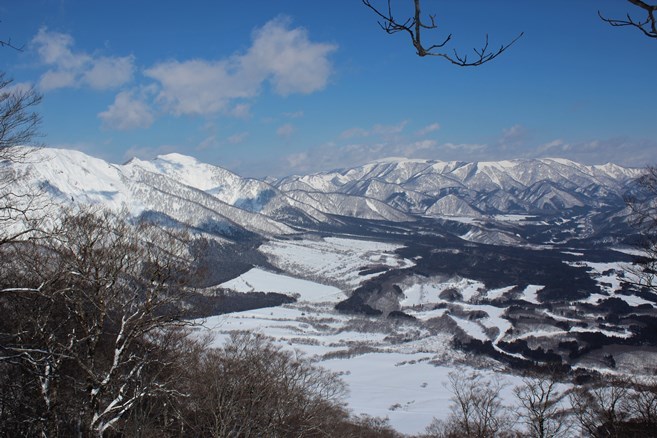 e0239458_22325374.jpg
