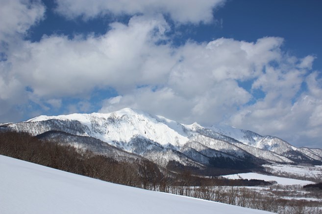 e0239458_22390450.jpg