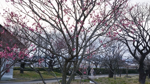 c0325866_17063789.jpg