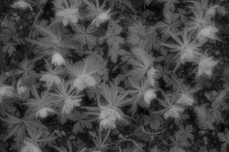 c0131875_06225711.jpg