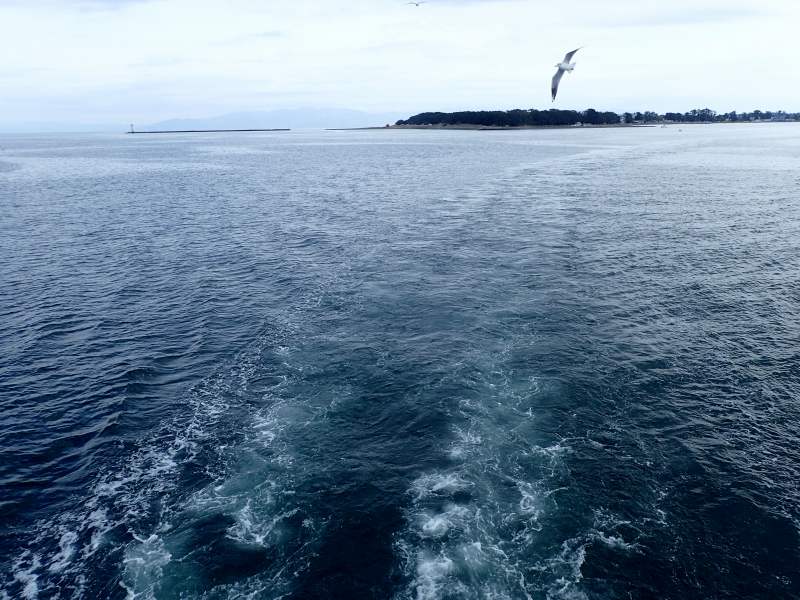 c0183777_7381248.jpg