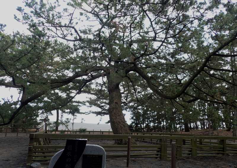 c0183777_7402517.jpg