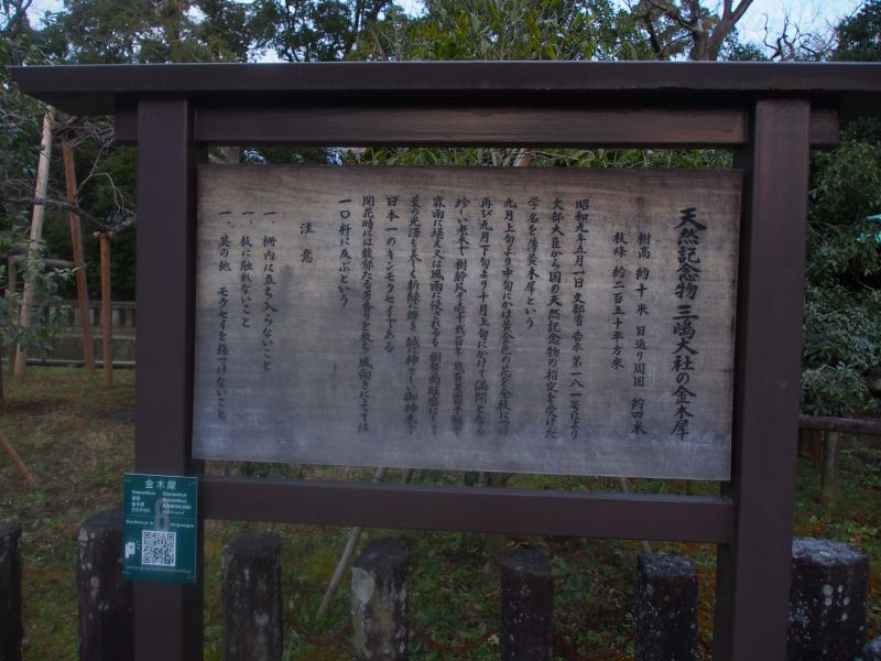 c0183777_7564919.jpg