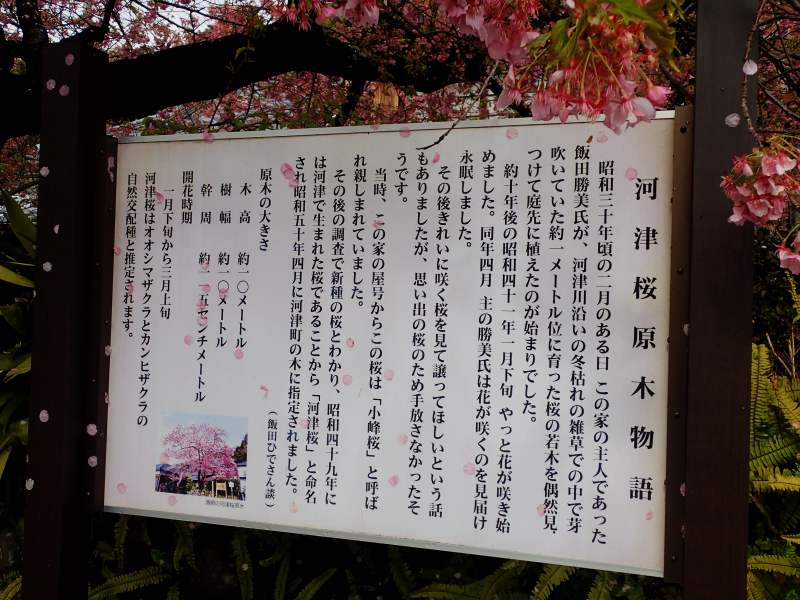 c0183777_938553.jpg