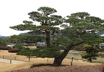 f0003283_08120129.jpg