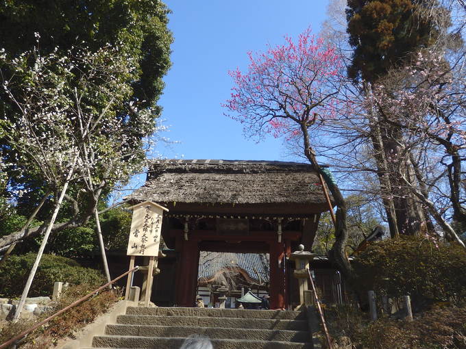 b0197486_936246.jpg