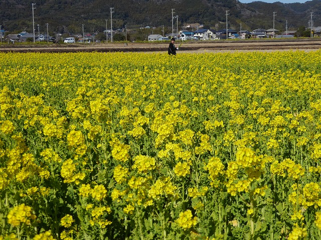 b0287088_17363089.jpg