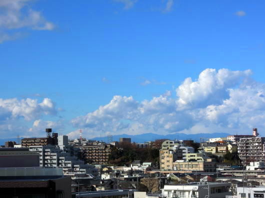 a0157892_23024171.jpg