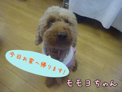 a0338800_09303863.jpg