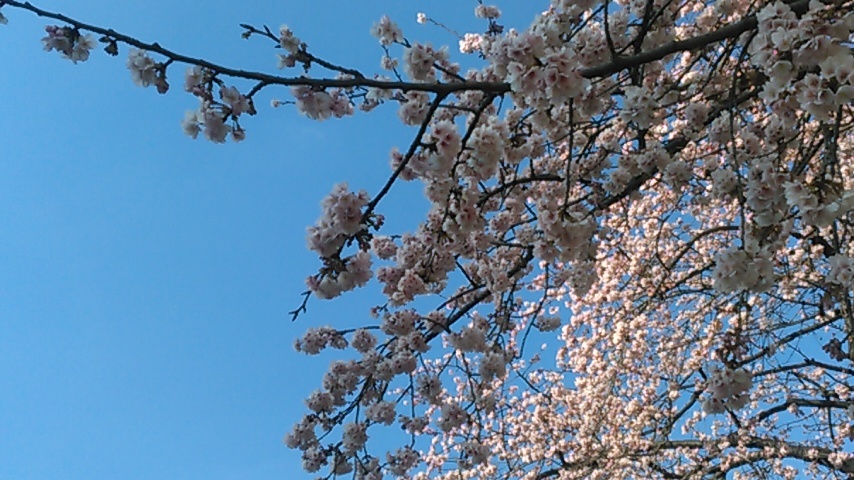 d0201102_20245016.jpg
