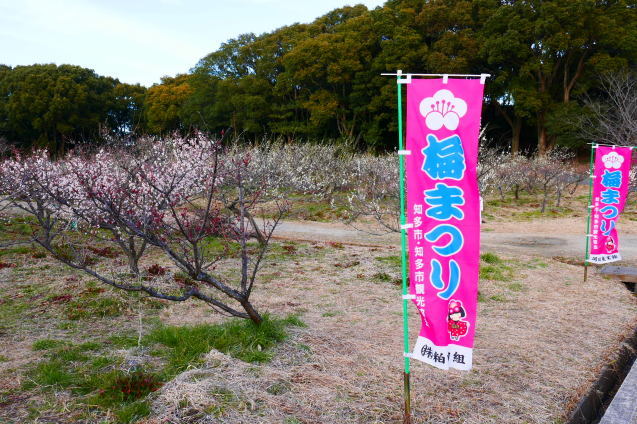 f0250403_13365746.jpg