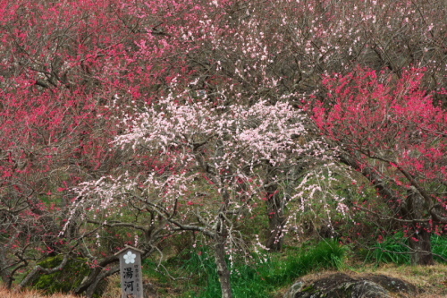 a0263109_18455554.jpg
