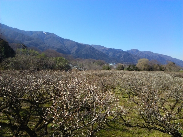 e0033713_16112456.jpg