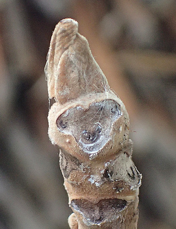 c0190915_18521082.jpg