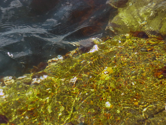 e0083517_01244140.jpg