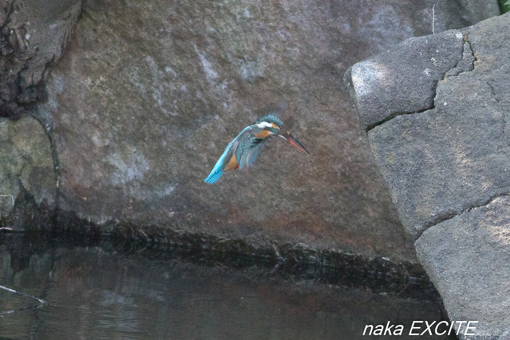 f0281533_15462435.jpg