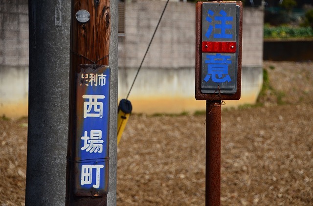 f0207943_16225720.jpg