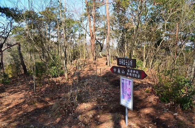 f0207943_16261544.jpg
