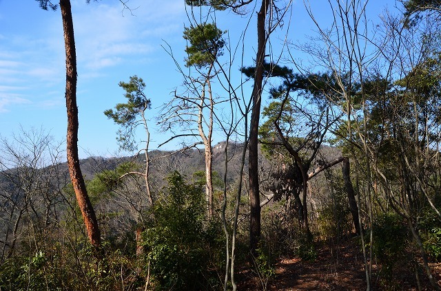 f0207943_16270116.jpg