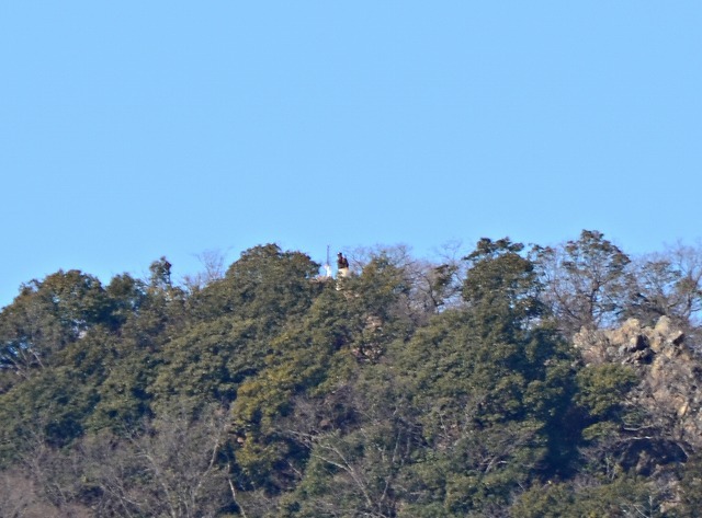 f0207943_16273123.jpg