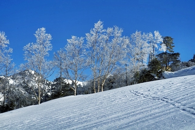 b0122448_20342133.jpg