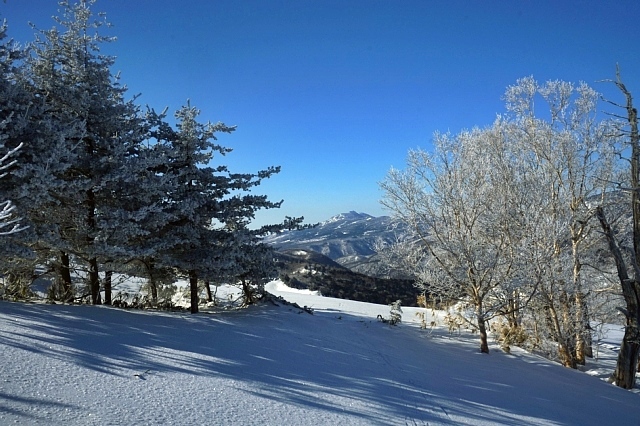 b0122448_20342650.jpg