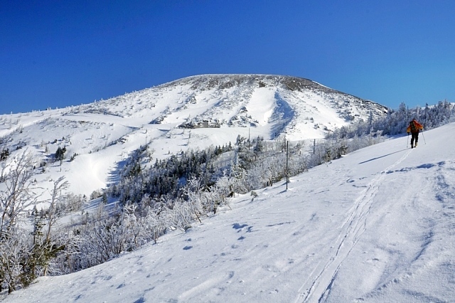 b0122448_20355627.jpg