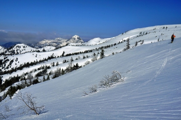 b0122448_21022088.jpg