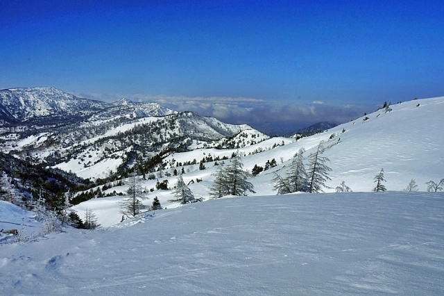 b0122448_21044680.jpg
