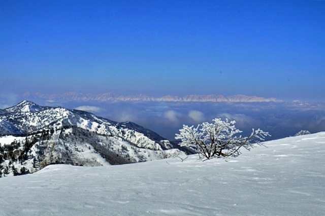 b0122448_21502904.jpg