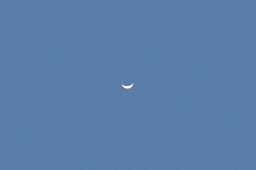 c0350853_16580437.jpg