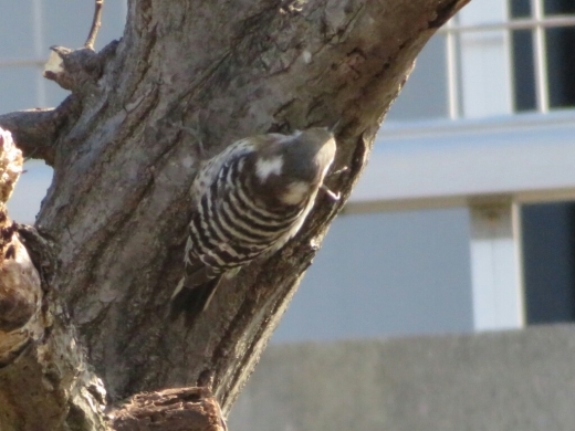 a0018655_15135487.jpg
