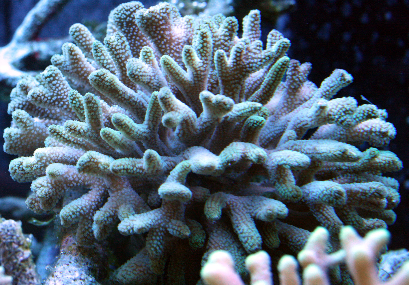 c0165758_198490.jpg