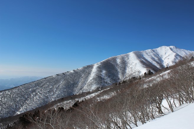 e0239458_20425115.jpg