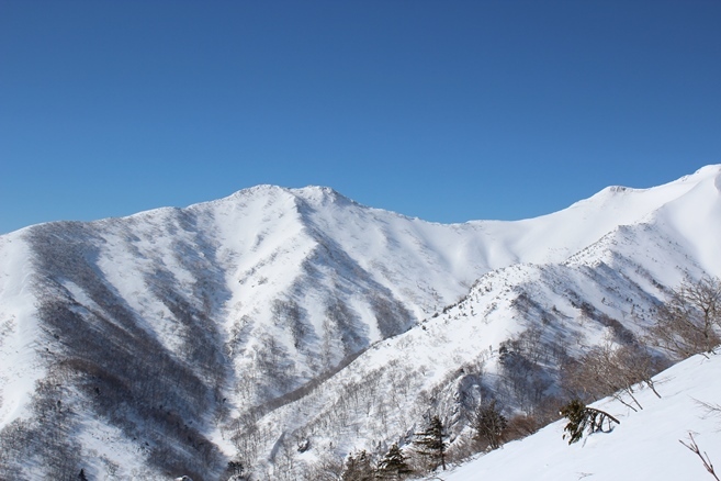 e0239458_20430400.jpg
