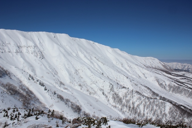 e0239458_21081729.jpg