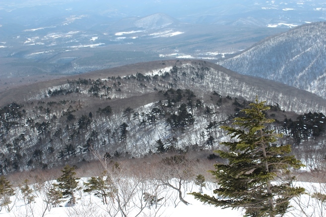 e0239458_21140527.jpg