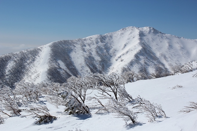 e0239458_21140655.jpg