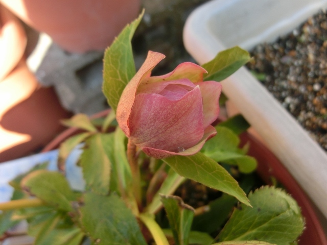 c0328559_21143199.jpg