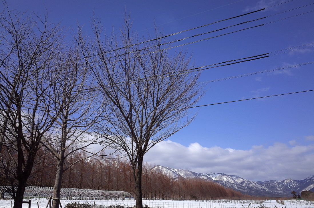 d0090161_23152880.jpg