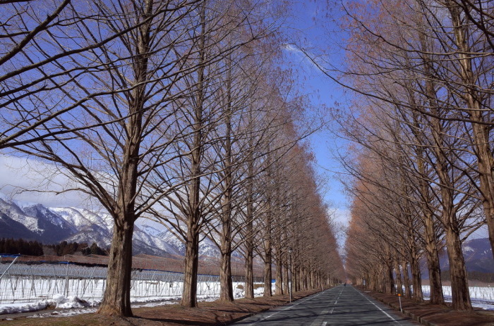 d0090161_23155263.jpg