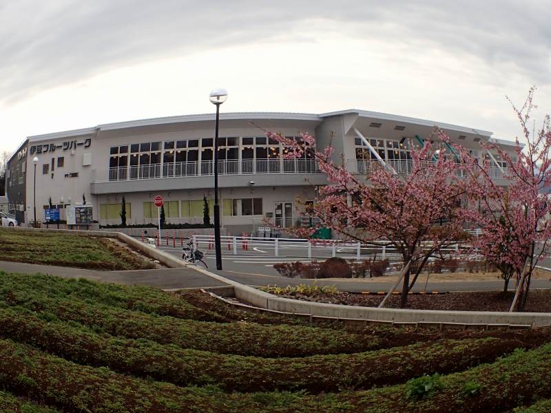c0183777_20153469.jpg