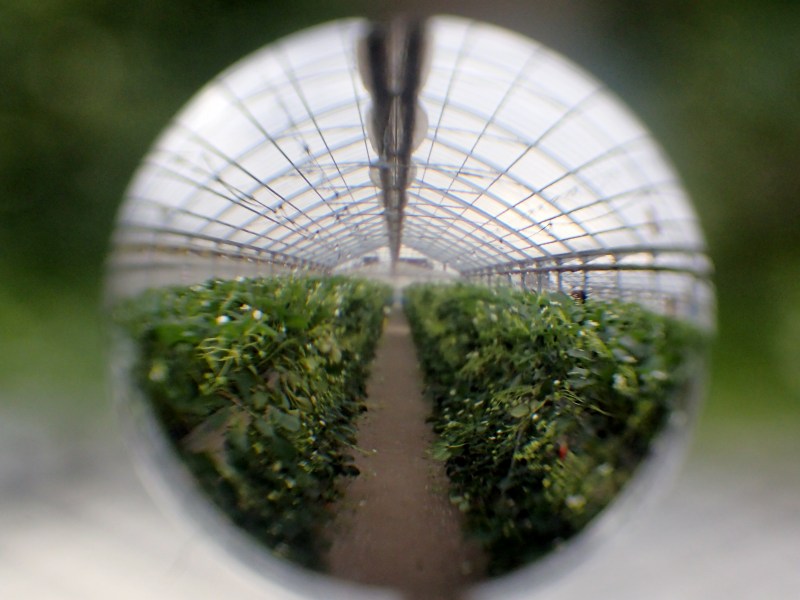 c0183777_20155771.jpg